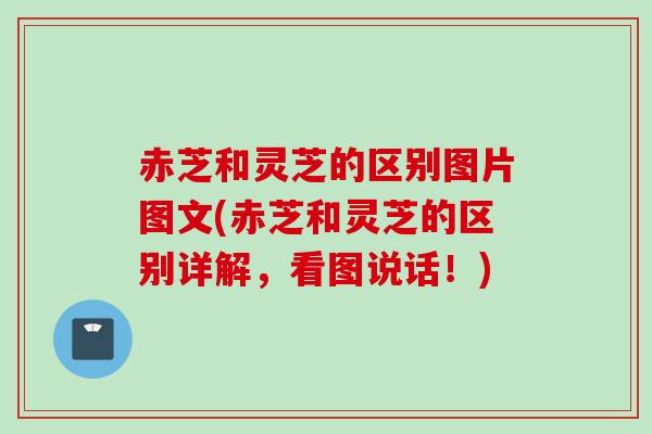 赤芝和灵芝的区别图片图文(赤芝和灵芝的区别详解，看图说话！)