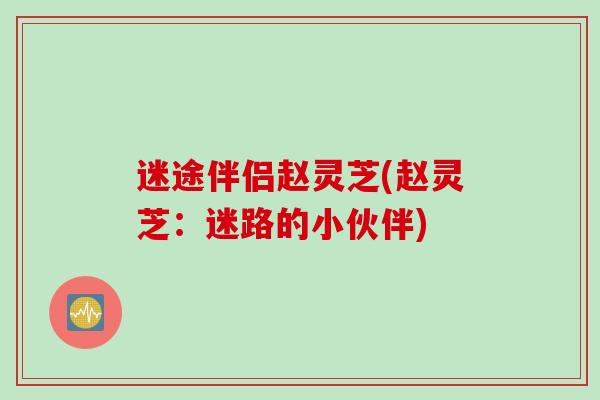 迷途伴侣赵灵芝(赵灵芝：迷路的小伙伴)