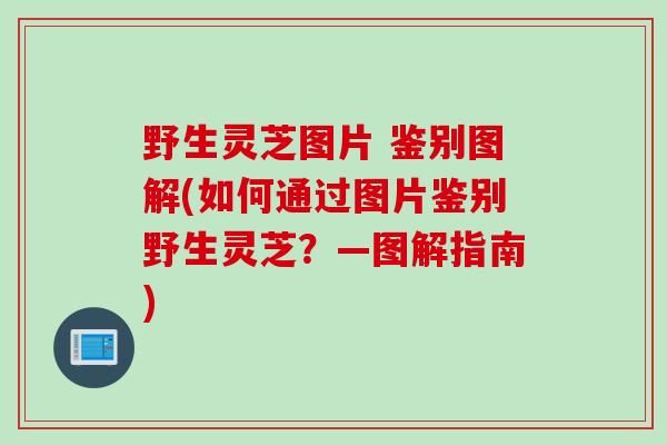 野生灵芝图片 鉴别图解(如何通过图片鉴别野生灵芝？—图解指南)