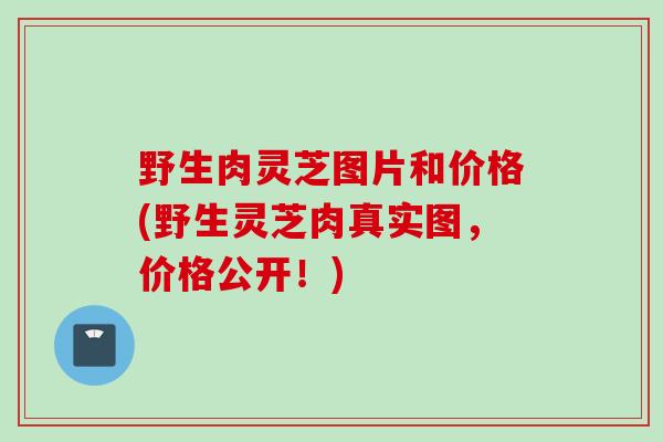 野生肉灵芝图片和价格(野生灵芝肉真实图，价格公开！)