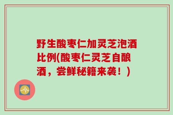 野生酸枣仁加灵芝泡酒比例(酸枣仁灵芝自酿酒，尝鲜秘籍来袭！)