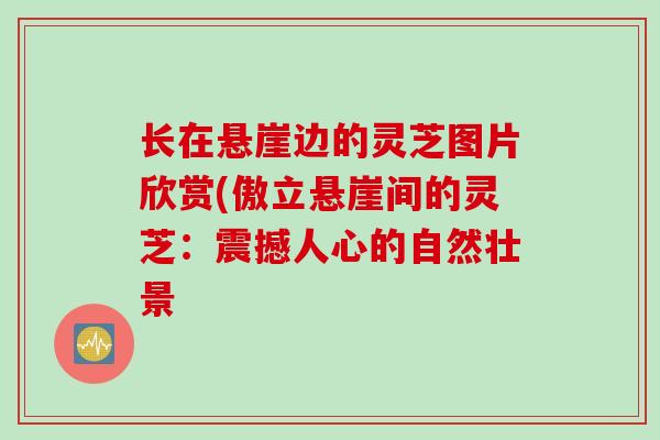 长在悬崖边的灵芝图片欣赏(傲立悬崖间的灵芝：震撼人心的自然壮景