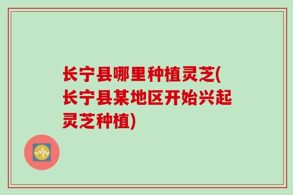 长宁县哪里种植灵芝(长宁县某地区开始兴起灵芝种植)