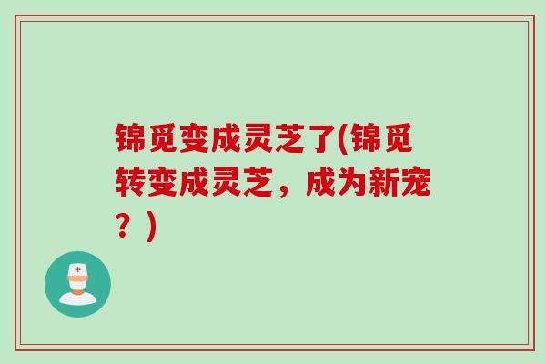 锦觅变成灵芝了(锦觅转变成灵芝，成为新宠？)