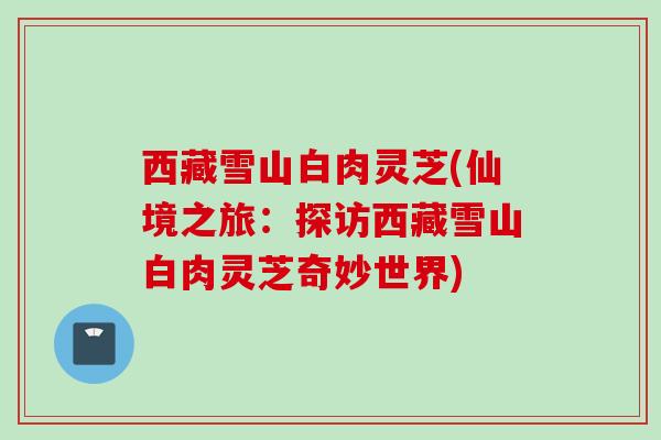 西藏雪山白肉灵芝(仙境之旅：探访西藏雪山白肉灵芝奇妙世界)