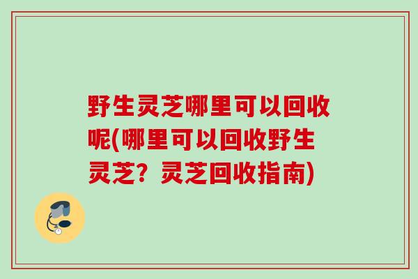 野生灵芝哪里可以回收呢(哪里可以回收野生灵芝？灵芝回收指南)
