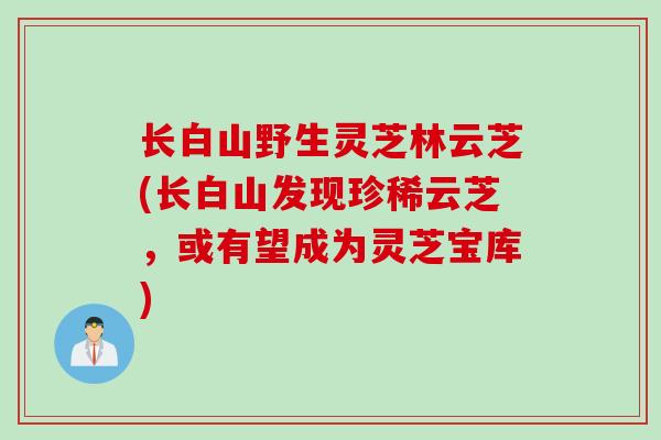 长白山野生灵芝林云芝(长白山发现珍稀云芝，或有望成为灵芝宝库)