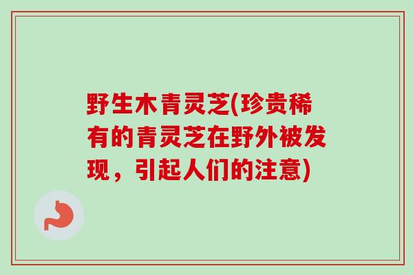 野生木青灵芝(珍贵稀有的青灵芝在野外被发现，引起人们的注意)