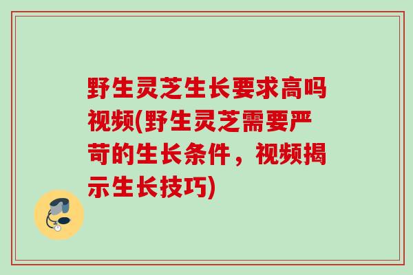 野生灵芝生长要求高吗视频(野生灵芝需要严苛的生长条件，视频揭示生长技巧)