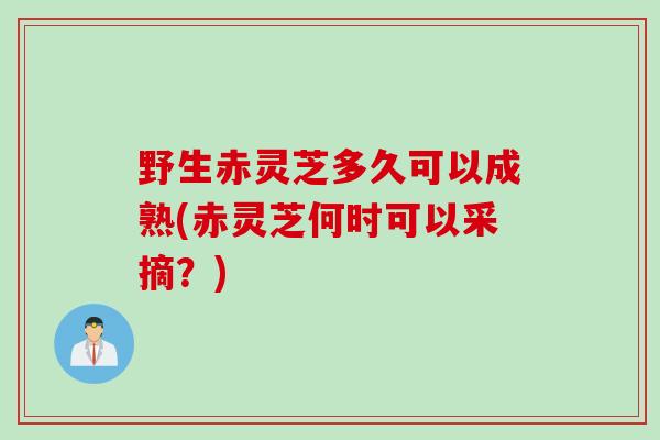 野生赤灵芝多久可以成熟(赤灵芝何时可以采摘？)