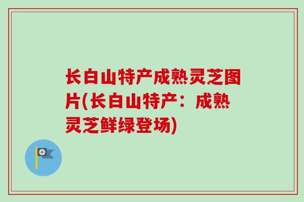 长白山特产成熟灵芝图片(长白山特产：成熟灵芝鲜绿登场)