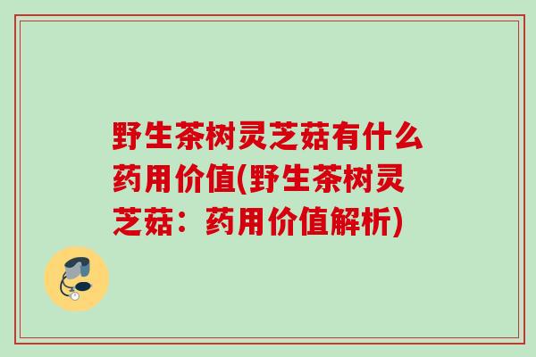 野生茶树灵芝菇有什么药用价值(野生茶树灵芝菇：药用价值解析)