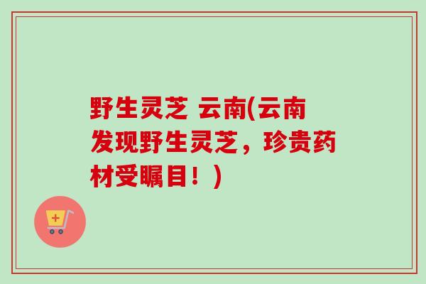 野生灵芝 云南(云南发现野生灵芝，珍贵药材受瞩目！)