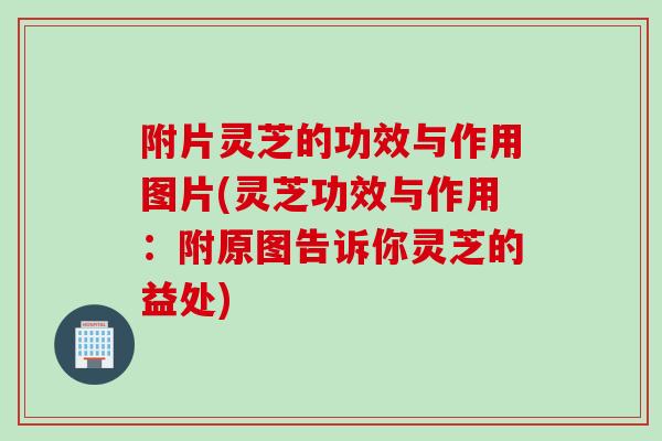 附片灵芝的功效与作用图片(灵芝功效与作用:附原图告诉你灵芝的益处) 附片灵芝的功效与作用图片(灵芝功效与作用:附原图告诉你灵芝的益处)