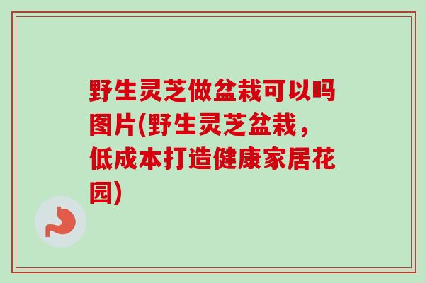 野生灵芝做盆栽可以吗图片(野生灵芝盆栽，低成本打造健康家居花园)