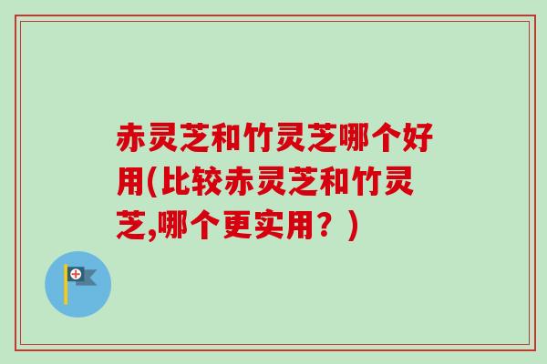 赤灵芝和竹灵芝哪个好用(比较赤灵芝和竹灵芝,哪个更实用？)