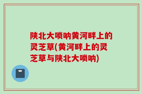 陕北大唢呐黄河畔上的灵芝草(黄河畔上的灵芝草与陕北大唢呐) 陕北大唢呐黄河畔上的灵芝草(黄河畔上的灵芝草与陕北大唢呐)