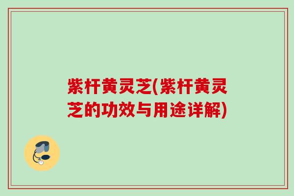紫杆黄灵芝(紫杆黄灵芝的功效与用途详解)
