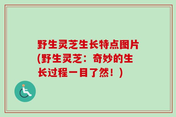 野生灵芝生长特点图片(野生灵芝：奇妙的生长过程一目了然！)