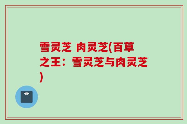 雪灵芝 肉灵芝(百草之王：雪灵芝与肉灵芝)
