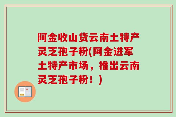 阿金收山货云南土特产灵芝孢子粉(阿金进军土特产市场，推出云南灵芝孢子粉！)