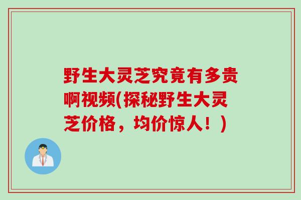 野生大灵芝究竟有多贵啊视频(探秘野生大灵芝价格，均价惊人！)