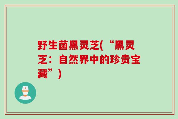 野生菌黑灵芝(“黑灵芝:自然界中的珍贵宝藏”) 野生菌黑灵芝(“黑灵芝:自然界中的珍贵宝藏”)