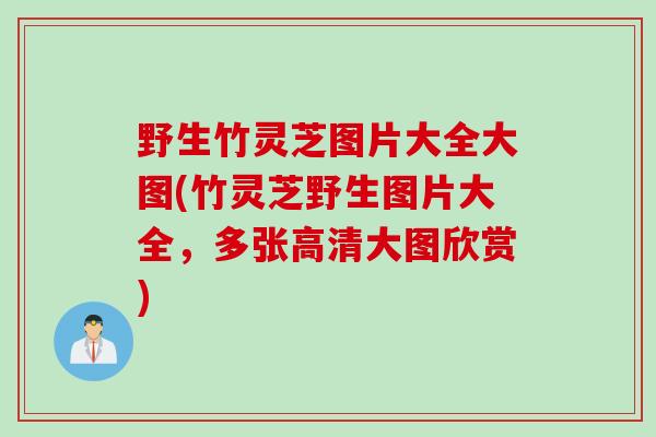 野生竹灵芝图片大全大图(竹灵芝野生图片大全,多张高清大图欣赏) 野生竹灵芝图片大全大图(竹灵芝野生图片大全,多张高清大图欣赏)