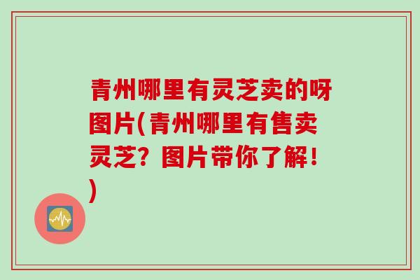 青州哪里有灵芝卖的呀图片(青州哪里有售卖灵芝？图片带你了解！)