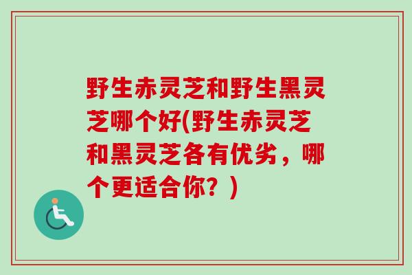 野生赤灵芝和野生黑灵芝哪个好(野生赤灵芝和黑灵芝各有优劣,哪个更适合你?) 野生赤灵芝和野生黑灵芝哪个好(野生赤灵芝和黑灵芝各有优劣,哪个更适合你?)