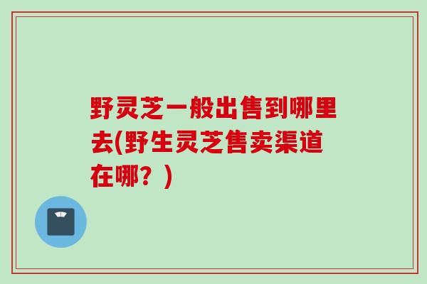 野灵芝一般出售到哪里去(野生灵芝售卖渠道在哪？)