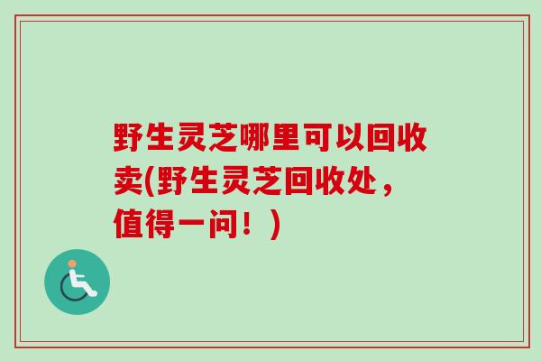 野生灵芝哪里可以回收卖(野生灵芝回收处，值得一问！)