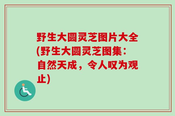 野生大圆灵芝图片大全(野生大圆灵芝图集：自然天成，令人叹为观止)