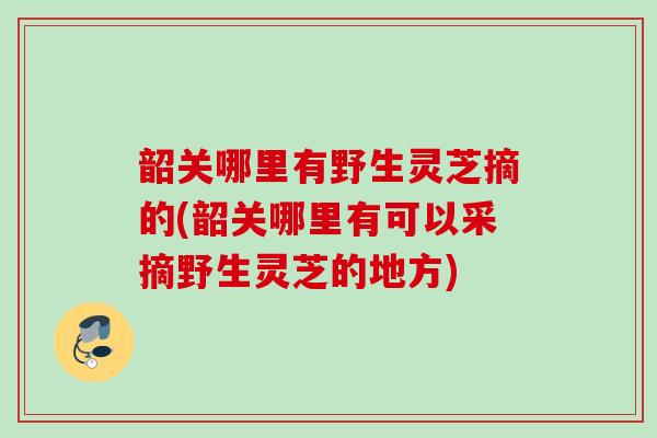 韶关哪里有野生灵芝摘的(韶关哪里有可以采摘野生灵芝的地方)