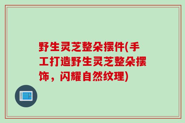 野生灵芝整朵摆件(手工打造野生灵芝整朵摆饰,闪耀自然纹理) 野生灵芝整朵摆件(手工打造野生灵芝整朵摆饰,闪耀自然纹理)