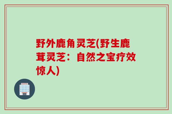 野外鹿角灵芝(野生鹿茸灵芝：自然之宝疗效惊人)