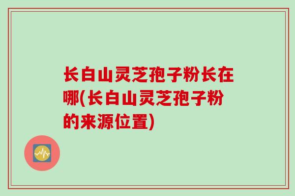 长白山灵芝孢子粉长在哪(长白山灵芝孢子粉的来源位置)