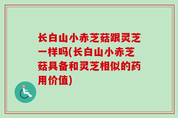 长白山小赤芝菇跟灵芝一样吗(长白山小赤芝菇具备和灵芝相似的药用价值)