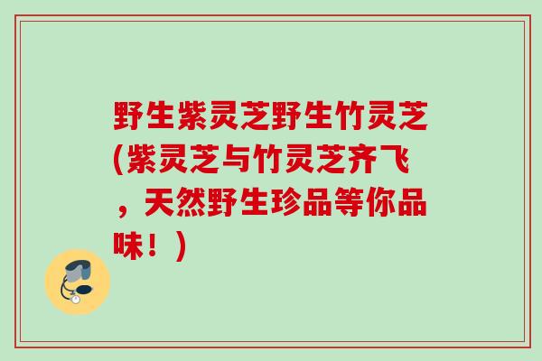 野生紫灵芝野生竹灵芝(紫灵芝与竹灵芝齐飞,天然野生珍品等你品味!) 野生紫灵芝野生竹灵芝(紫灵芝与竹灵芝齐飞,天然野生珍品等你品味!)