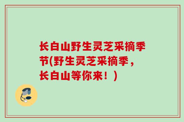 长白山野生灵芝采摘季节(野生灵芝采摘季,长白山等你来!) 长白山野生灵芝采摘季节(野生灵芝采摘季,长白山等你来!)