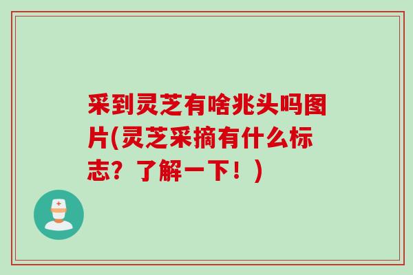 采到灵芝有啥兆头吗图片(灵芝采摘有什么标志？了解一下！)