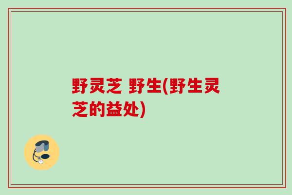 野灵芝 野生(野生灵芝的益处)