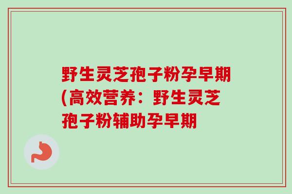 野生灵芝孢子粉孕早期(高效营养：野生灵芝孢子粉辅助孕早期