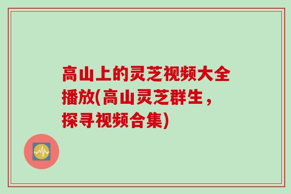 高山上的灵芝视频大全播放(高山灵芝群生，探寻视频合集)