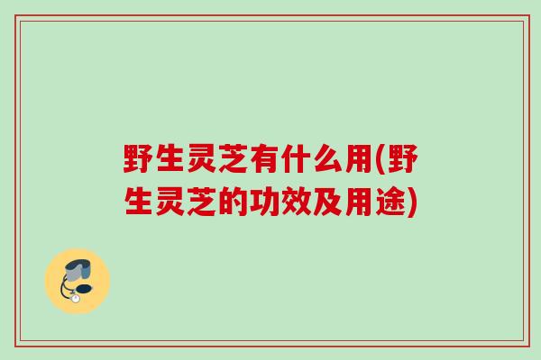 野生灵芝有什么用(野生灵芝的功效及用途) 野生灵芝有什么用(野生灵芝的功效及用途)