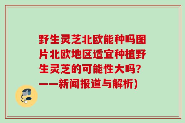 野生灵芝北欧能种吗图片北欧地区适宜种植野生灵芝的可能性大吗？——新闻报道与解析)