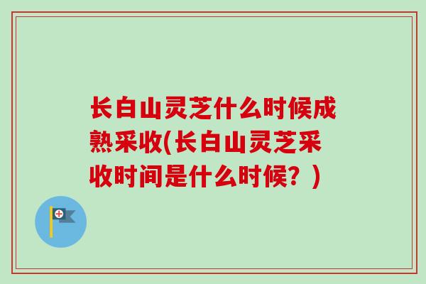 长白山灵芝什么时候成熟采收(长白山灵芝采收时间是什么时候？)