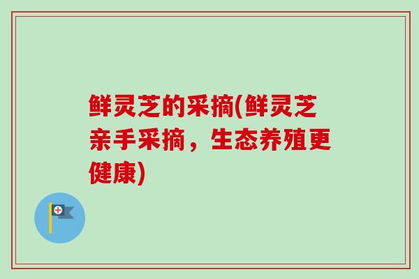 鲜灵芝的采摘(鲜灵芝亲手采摘，生态养殖更健康)