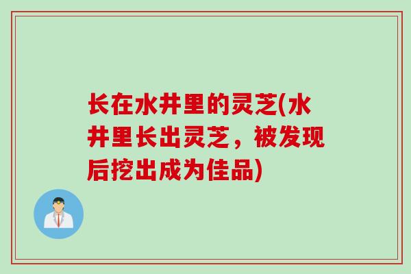 长在水井里的灵芝(水井里长出灵芝，被发现后挖出成为佳品)