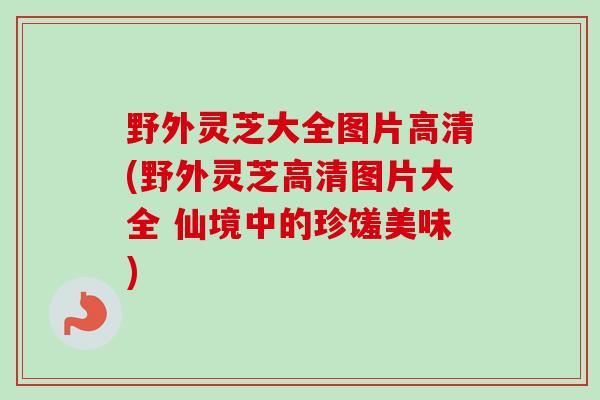 野外灵芝大全图片高清(野外灵芝高清图片大全 仙境中的珍馐美味)